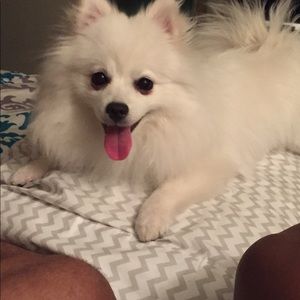 Meet your Posher, Tatanya